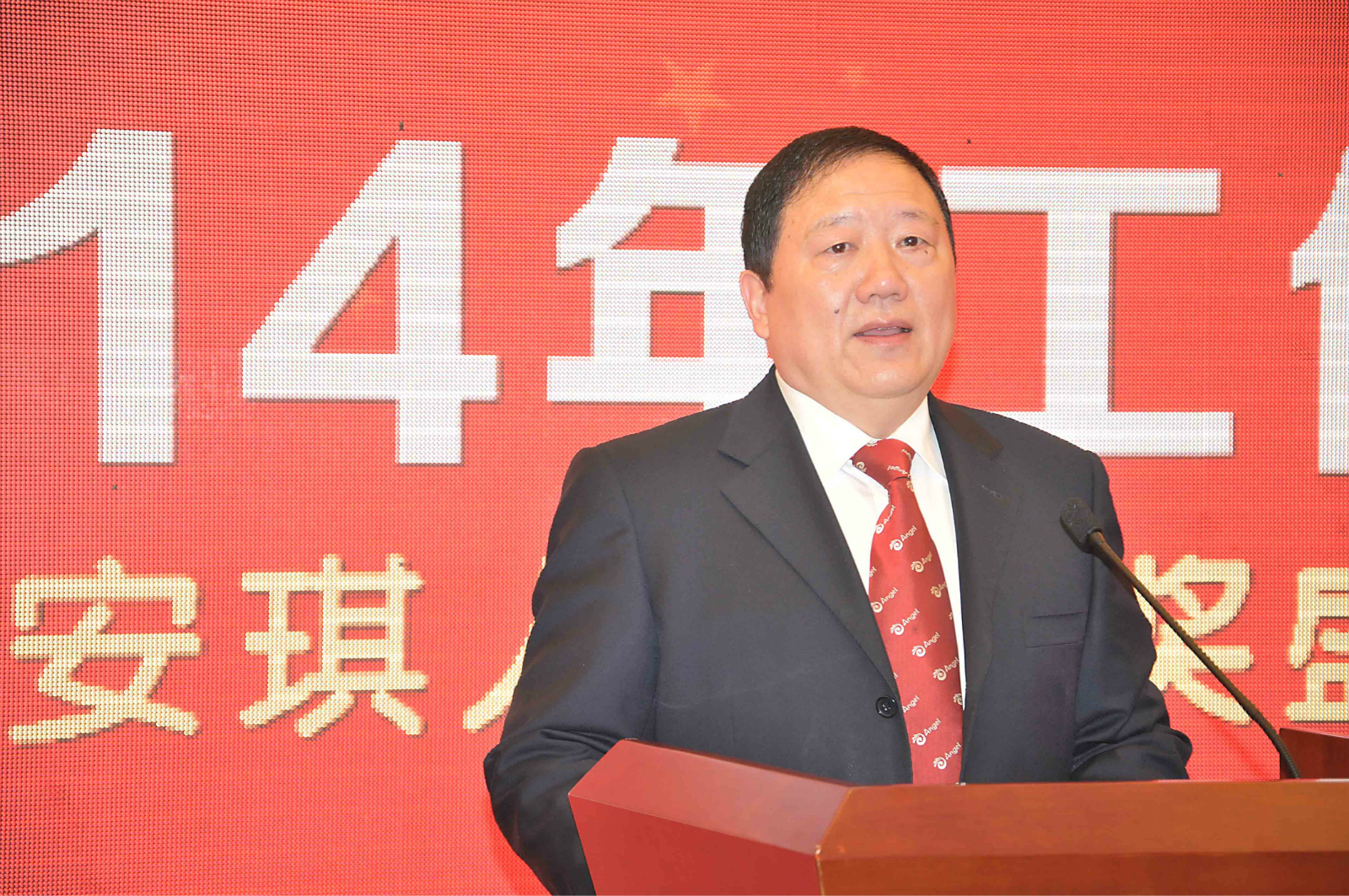 安琪集团2014年工作会暨2013年度卓越