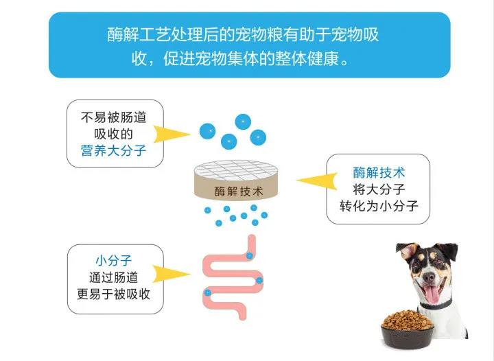 酶解技术在宠物食品中的应用.jpg
