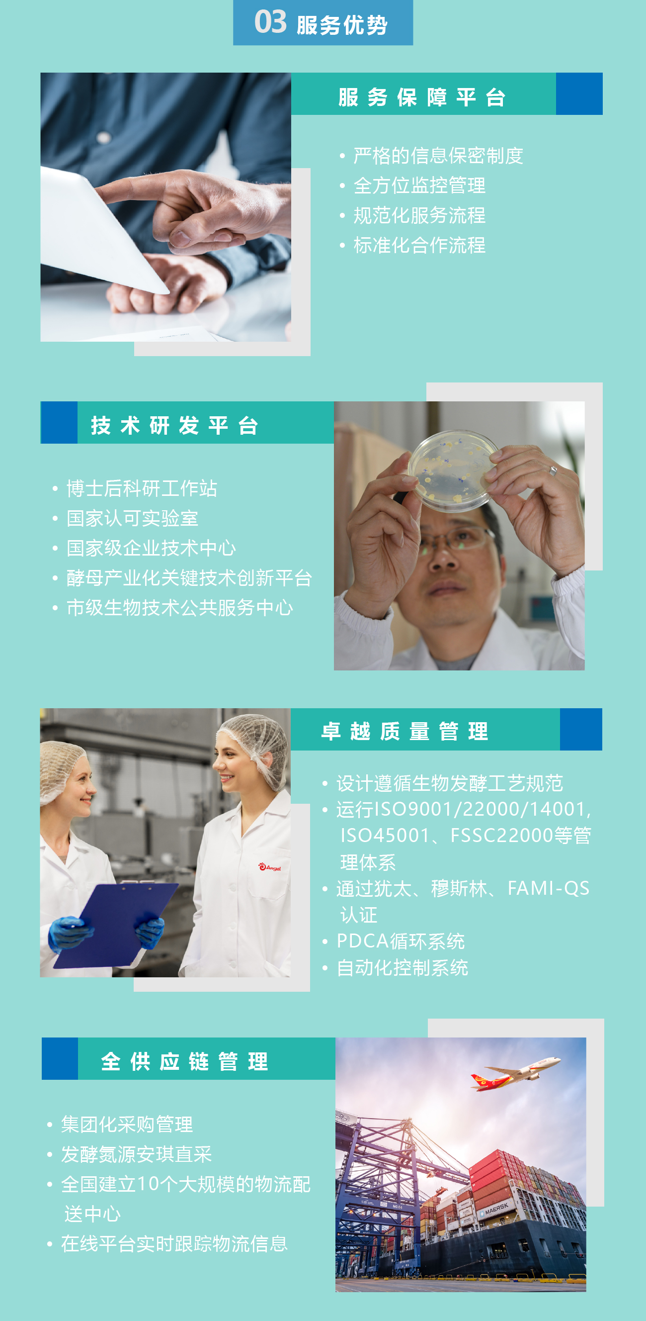 资源 12-100.jpg