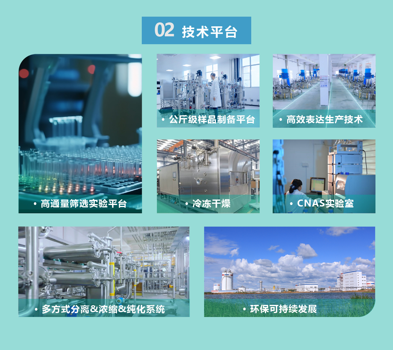 资源 16-100.jpg